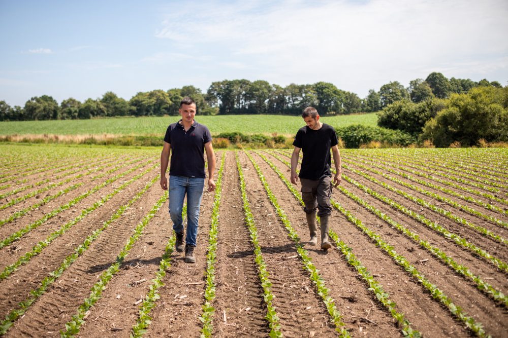 EUREDEN 18072024 RIEC SUR BELON 48 Tilly Gregoire TC +Jouan Yves Marie Haricots Champs TC Agriculteur (2)