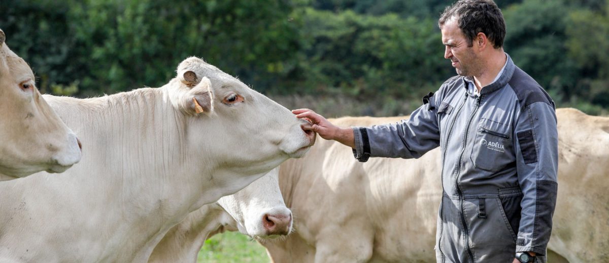 agriculture plurielle et durable