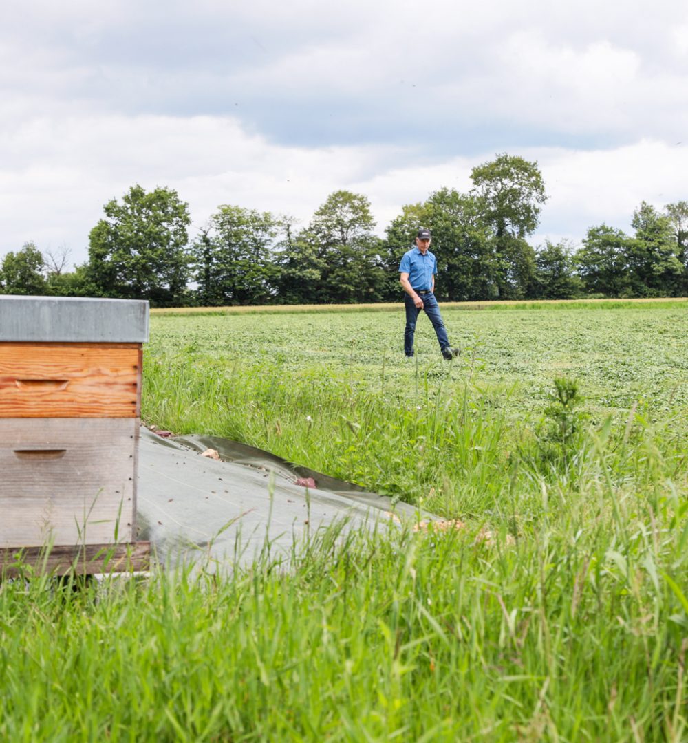 EUREDEN | Innovation agricole : agro-écologie et agronomie