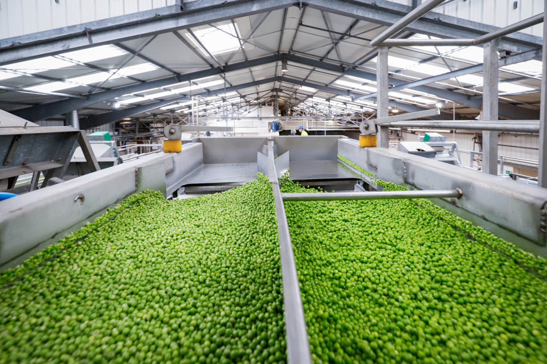 Peny, entreprise de production de plats préparés et de légumes en conserve appartenant au Groupe coopératif Eureden