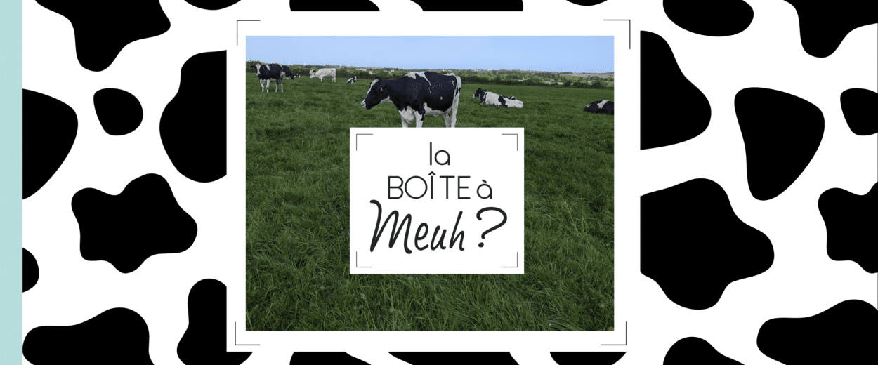 Boîte à Meuh