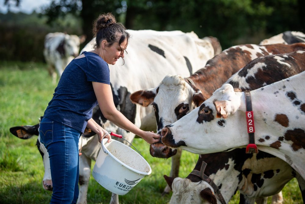 EUREDEN 16072024 MAURE DE BRETAGNE 34 Isabelle Coue Agri Agricultrice Vache Champ JA