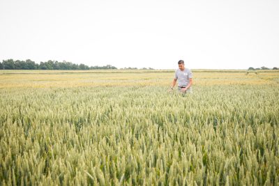 EUREDEN 16062023 LTNR 37 Essai Plateforme Céréales Innovation JLTNR