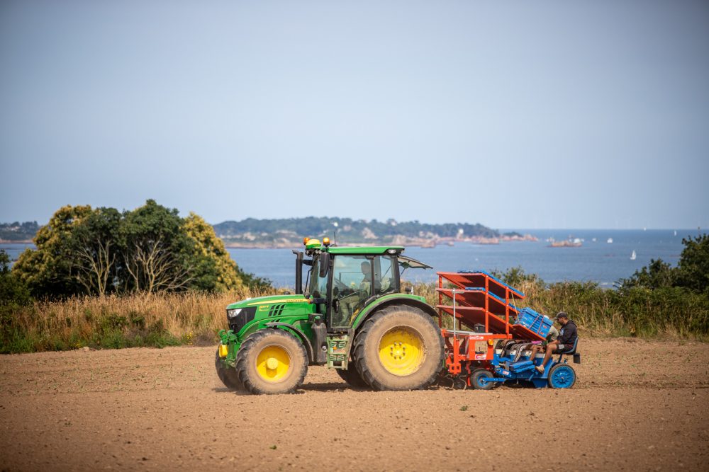 EUREDEN 17072024 LEZARDRIEUX 3 Carriou Sebastien Agri JA Agriculteur Champs Brocilis Mer