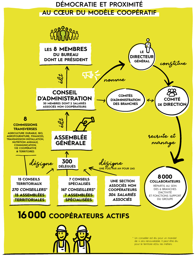Modele Cooperatif 16000