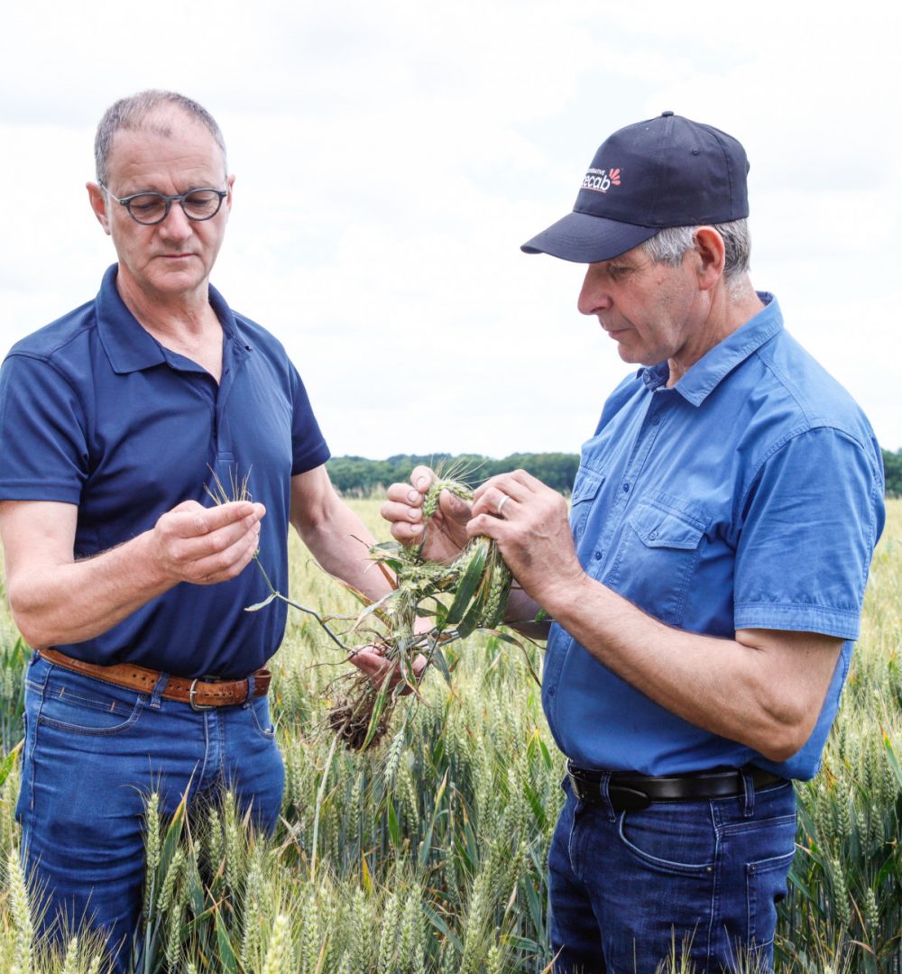 Eureden, agronomie et agrofournitures